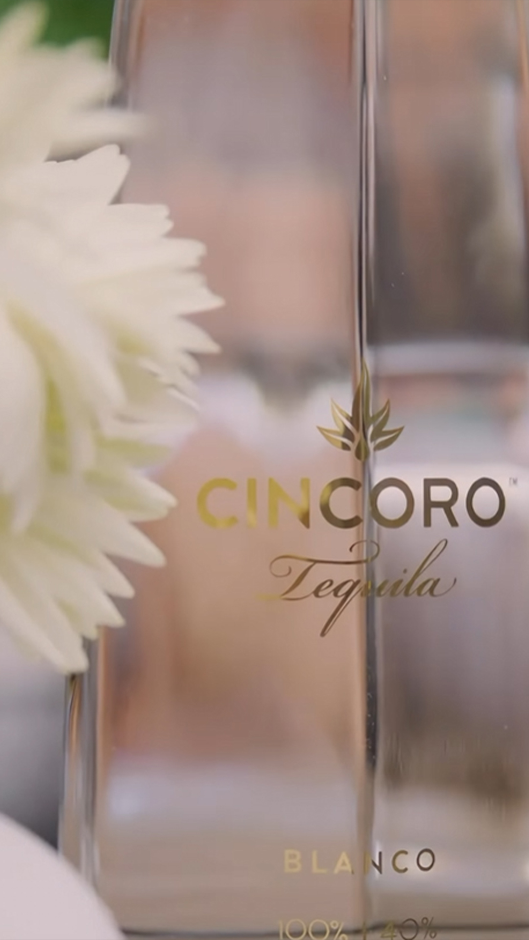 https://mydrinks-id.com/upload/2025/04/cincoro-blanco.jpg