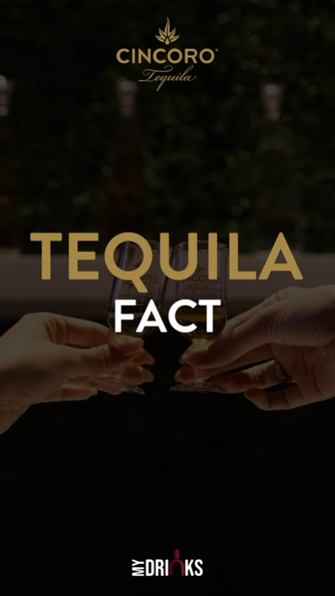 https://mydrinks-id.com/upload/2025/04/tequila-fact.jpg