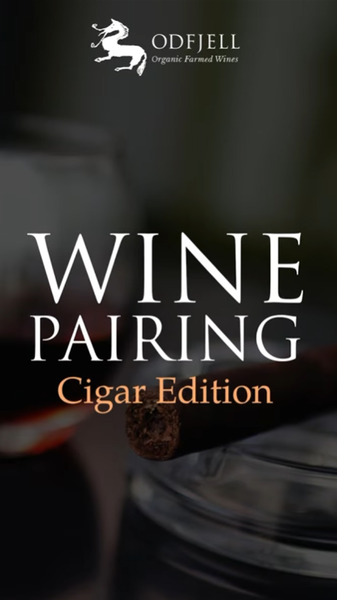 https://mydrinks-id.com/upload/2025/04/wine-pairing-cigar.jpg