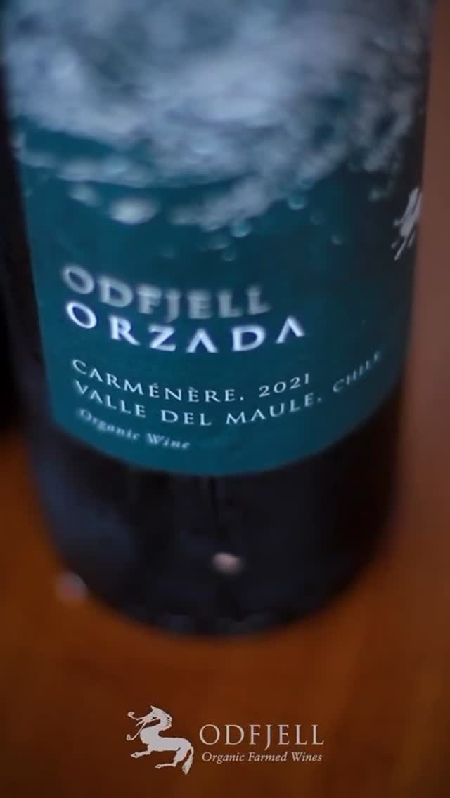 https://mydrinks-id.com/upload/2025/06/SaveVid.Net_504091995_3823879471187500_8703894707757003884_n.jpg