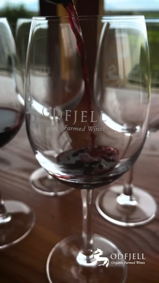 https://mydrinks-id.com/upload/2025/06/SaveVid.Net_504553670_1232751771863140_7170287124689995572_n.jpg