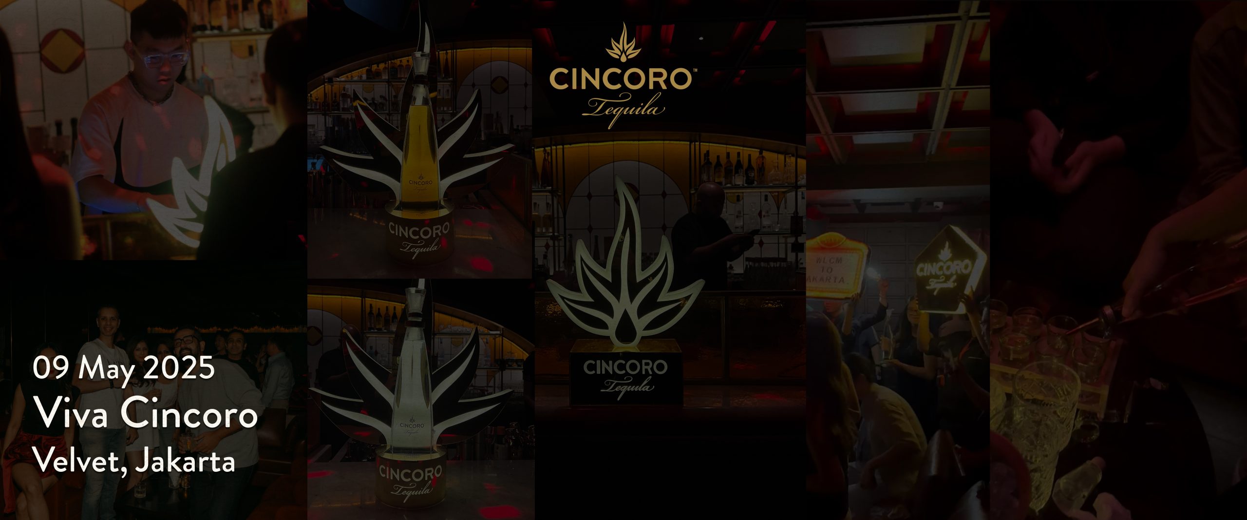 Viva cincoro