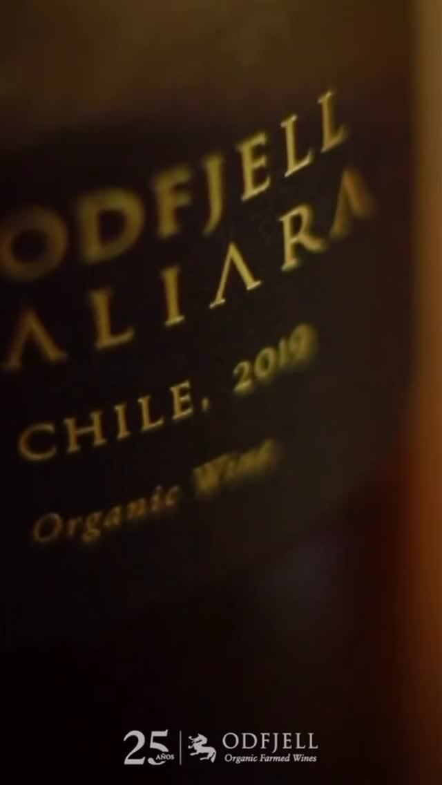 https://mydrinks-id.com/upload/2025/07/SaveVid.Net_523402612_4107802952821447_1884063134206621637_n.jpg