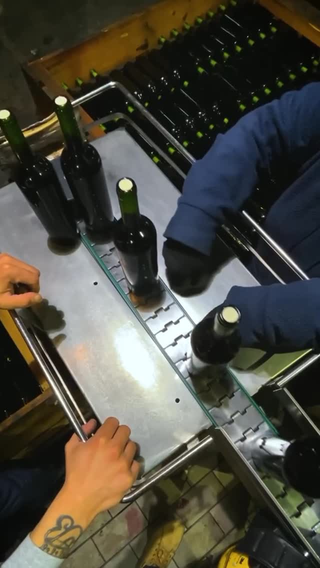 https://mydrinks-id.com/upload/2025/08/SaveVid.Net_527716897_1431429224746963_9083806916744569866_n.jpg