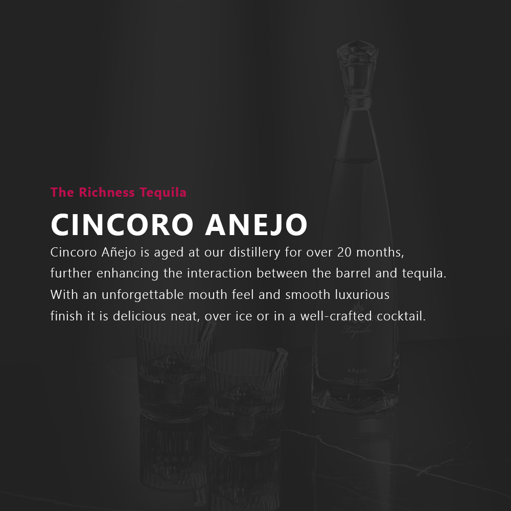https://mydrinks-id.com/upload/2025/09/Home-article-Cincoro.jpg