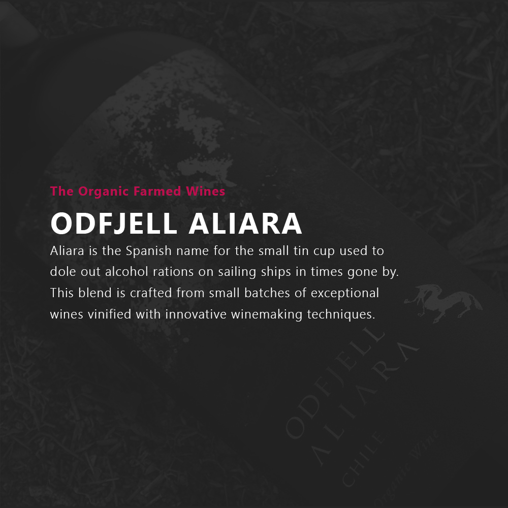 https://mydrinks-id.com/upload/2025/09/Home-article-Odfjell.jpg