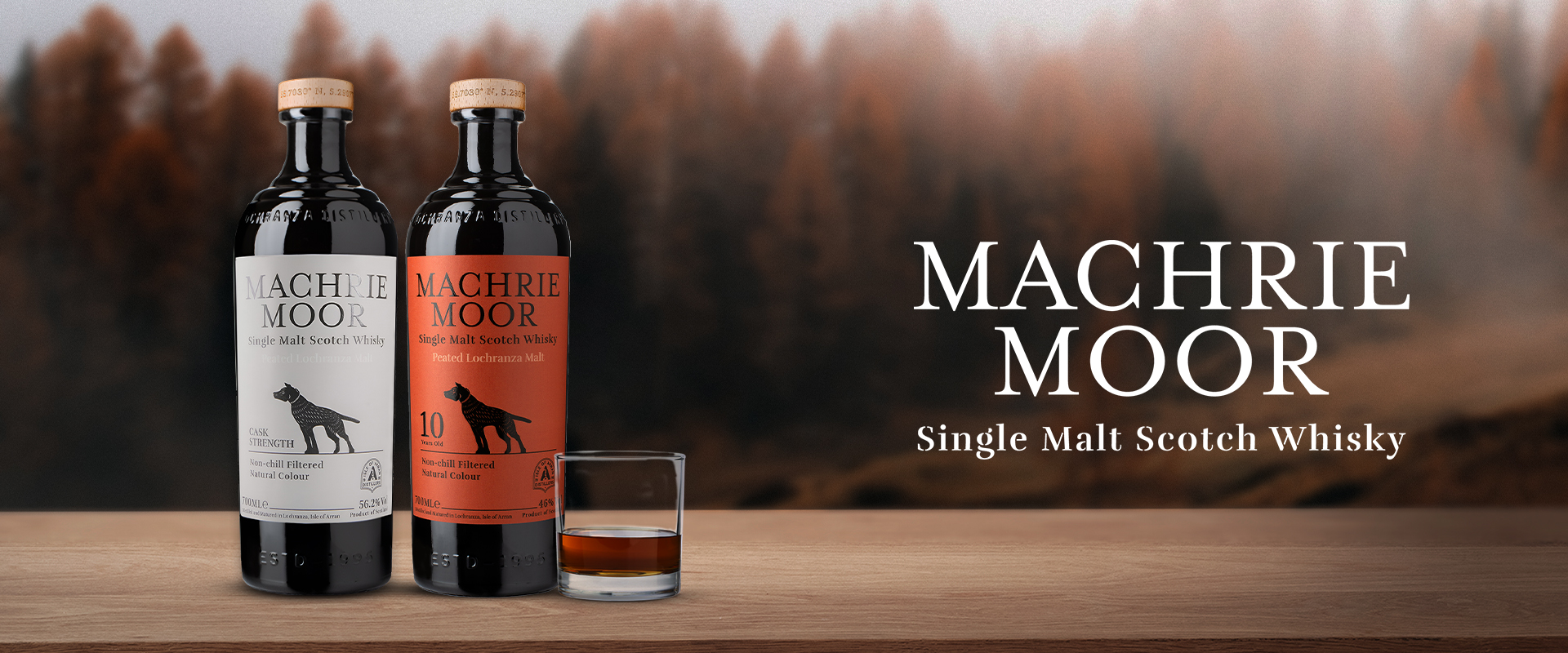 Machrie moor II
