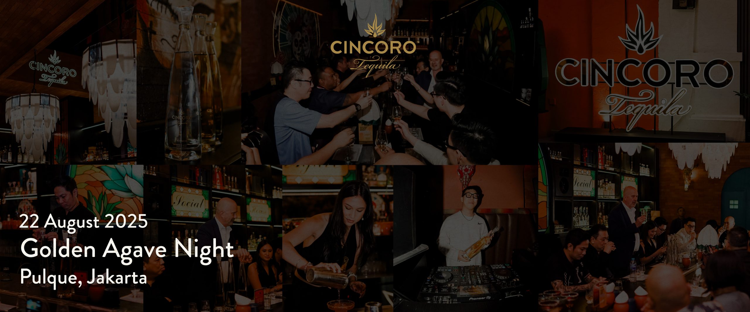cincoro golden agave night