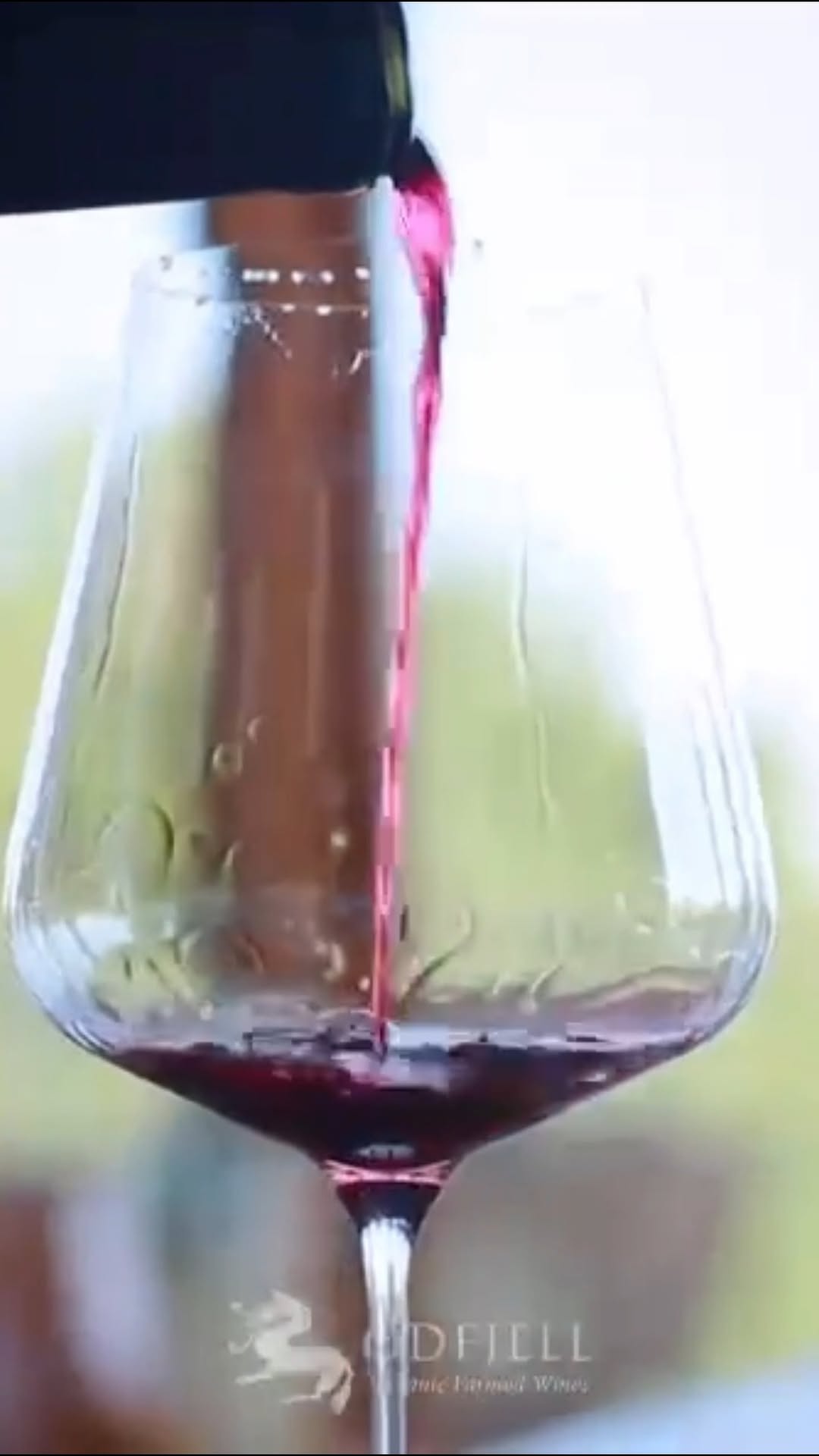 https://mydrinks-id.com/upload/2026/05/SaveVid.Net_684429048_17964649056105503_8855976695128909608_n.jpg
